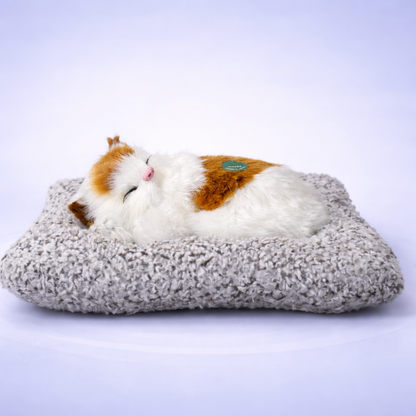 Zapdeal™ Sleeping cat toy