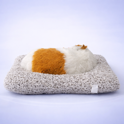 Zapdeal™ Sleeping cat toy